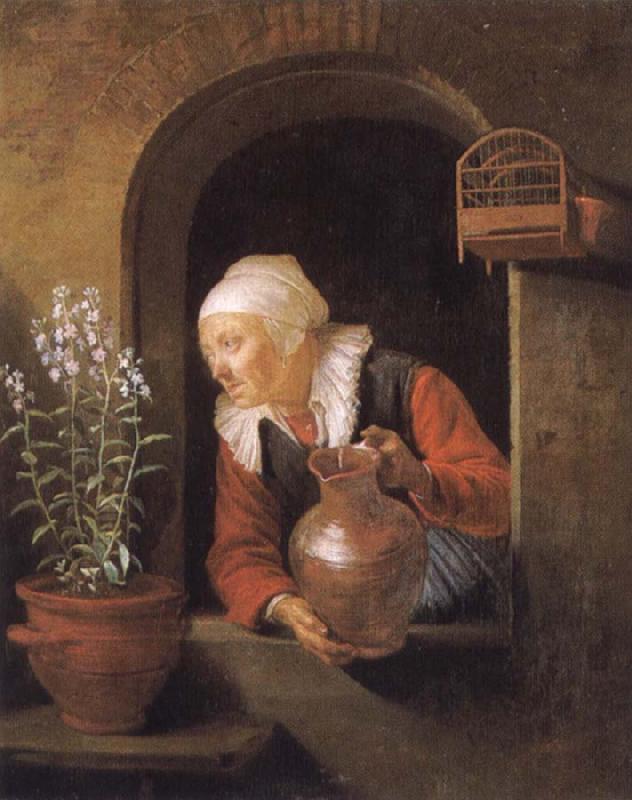 Gerard Dou Old woman at her window,Watering flower Germany oil painting art